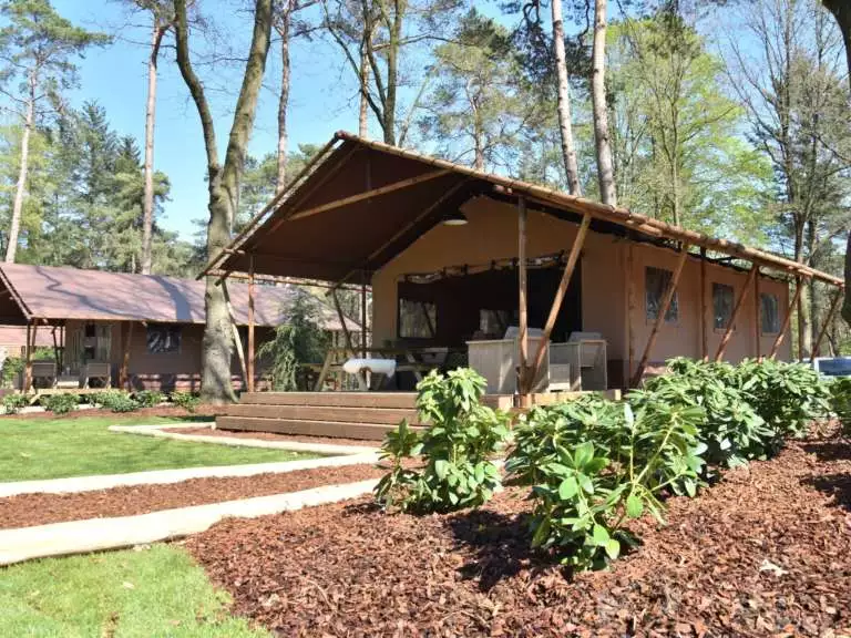 Glamping Overijssel boslodge met hond 22