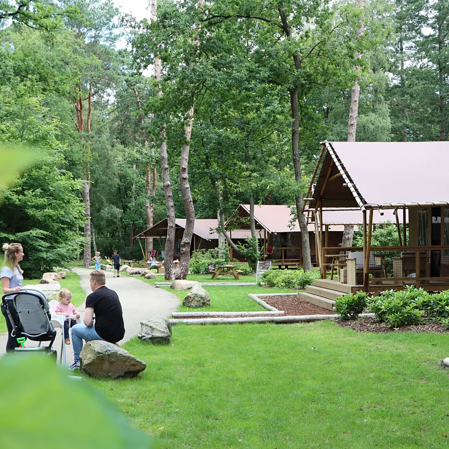 Glamping Overijssel boslodge met hond 31