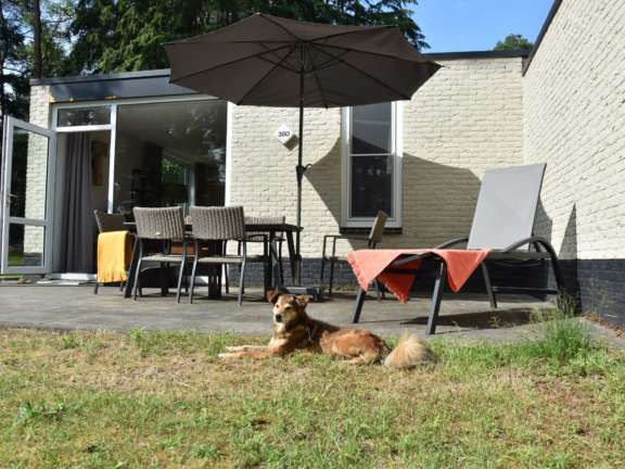 Vakantiepark Overijssel bungalow met hond 11