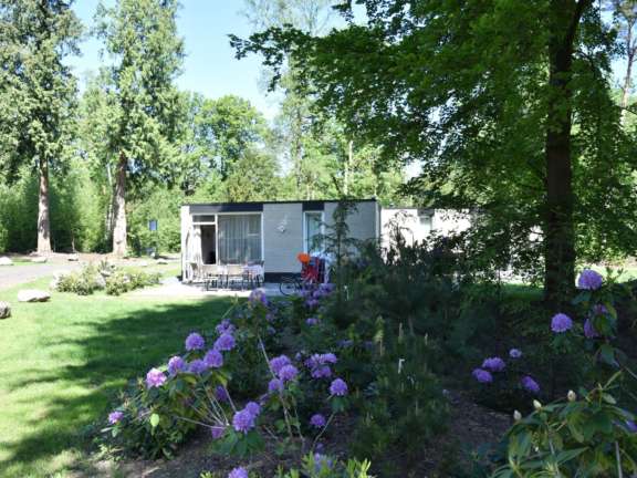 Vakantiepark Overijssel bungalow met hond 26