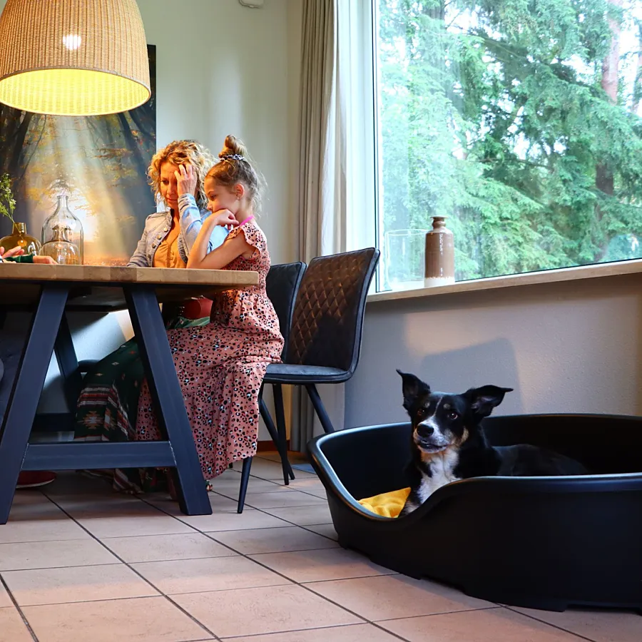 Vakantiepark Overijssel bungalow met hond 9