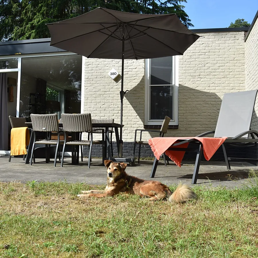 Vakantiepark Overijssel bungalow met hond 11