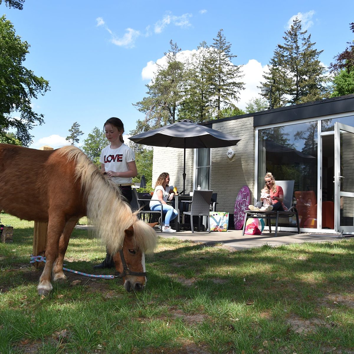 Pony vakantie vakantiepark Ommen 11