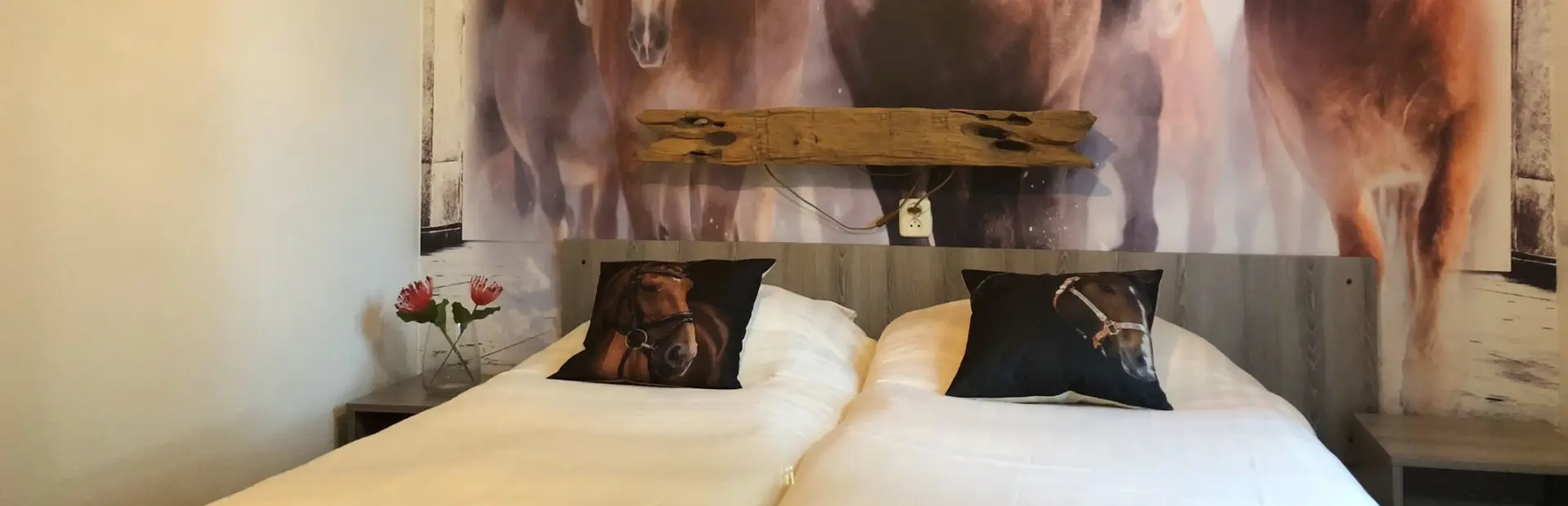 Pony vakantie vakantiepark Ommen 4