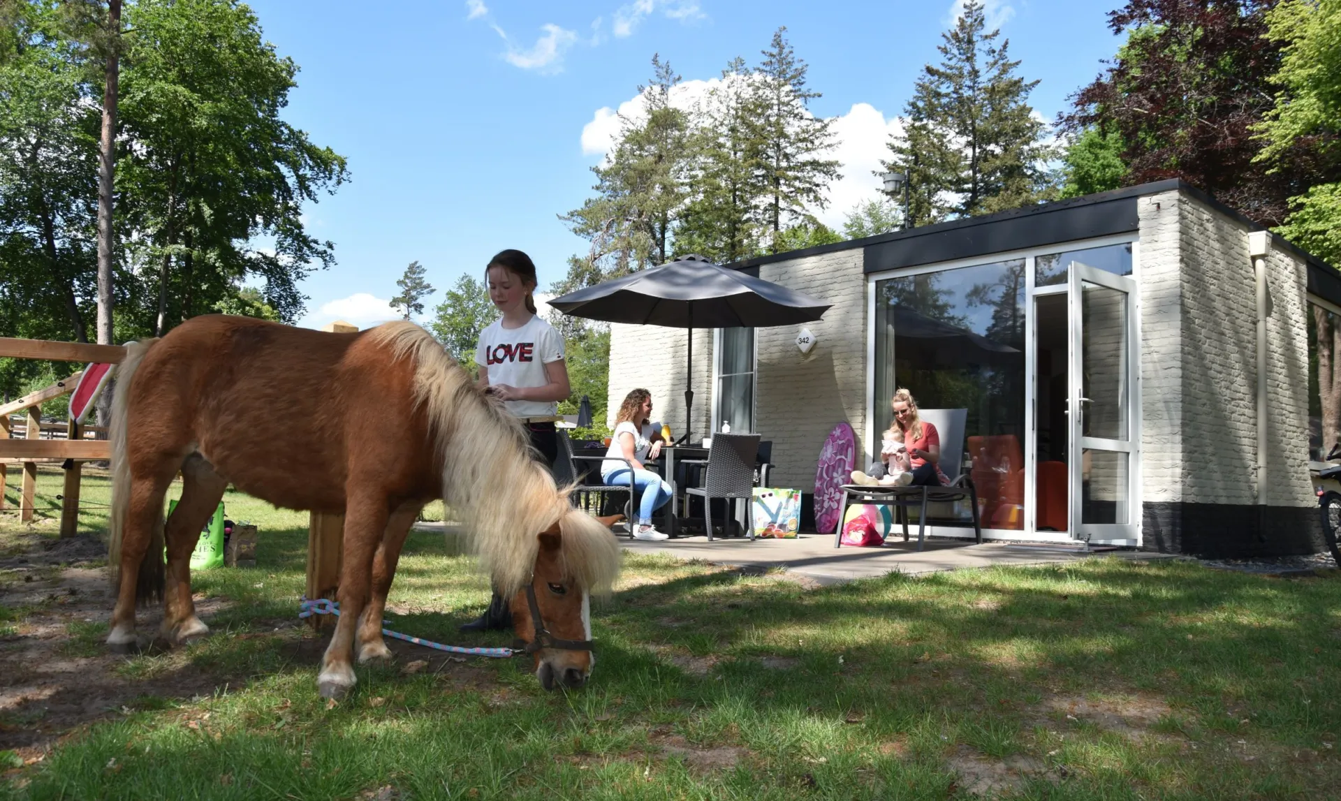 Pony vakantie vakantiepark Ommen 11