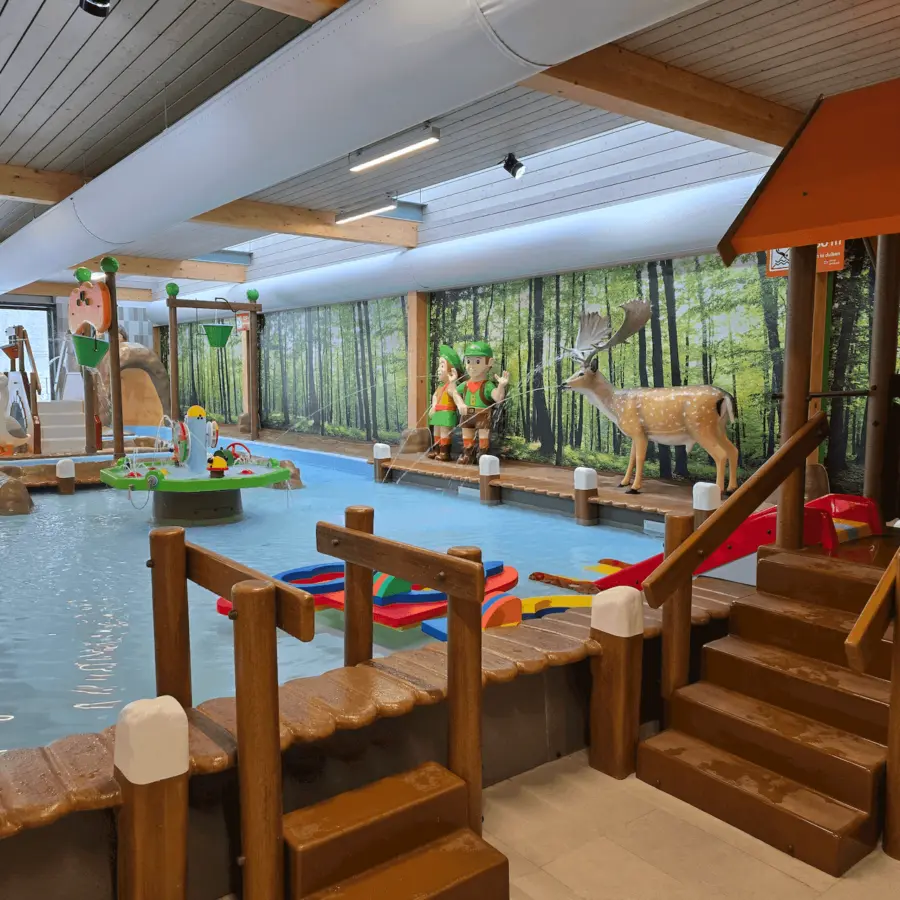 Camping Ommen met zwembad 36