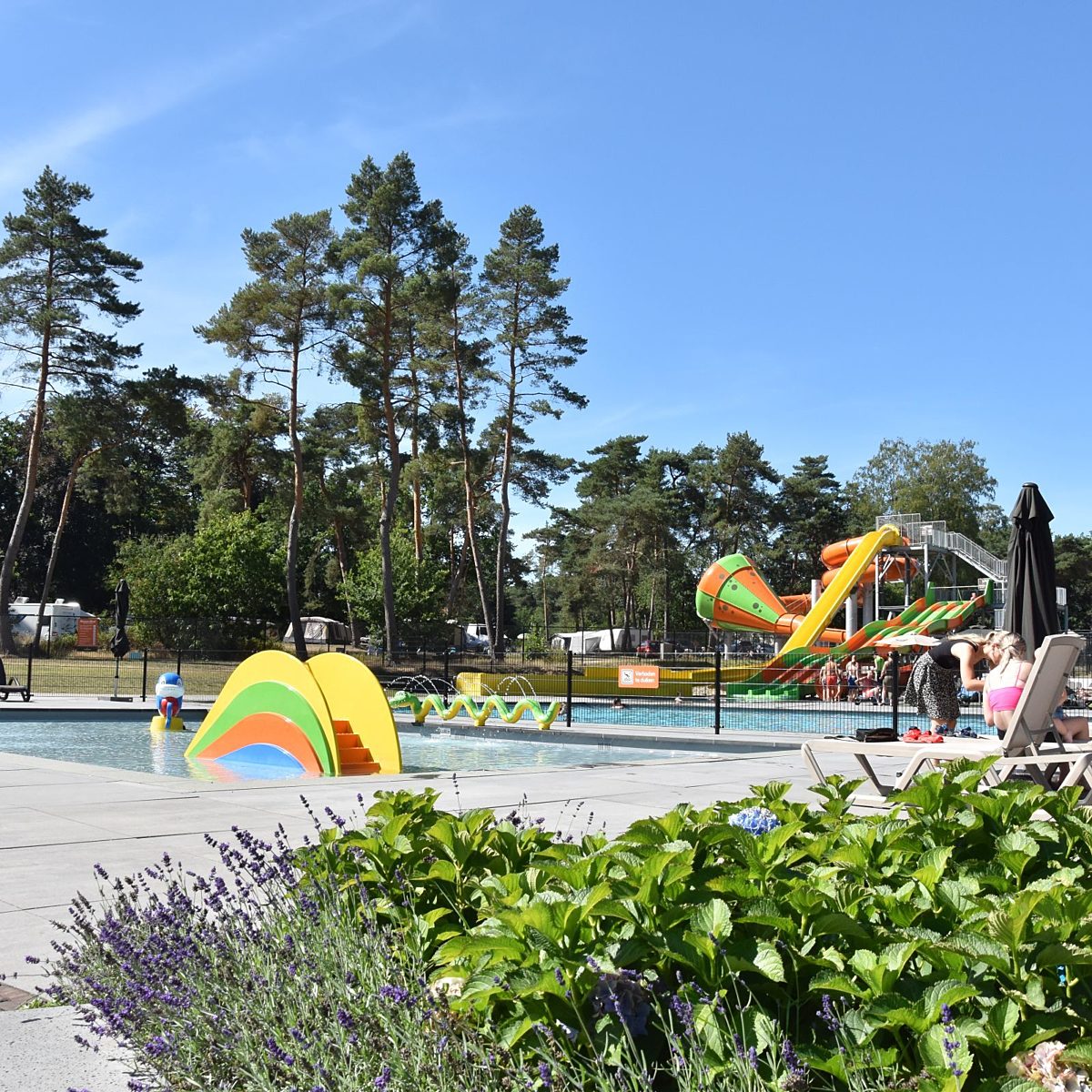 Camping met zwembad en glijbanen Ommen 4