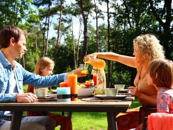 Camping in Ommen Ommerland 1