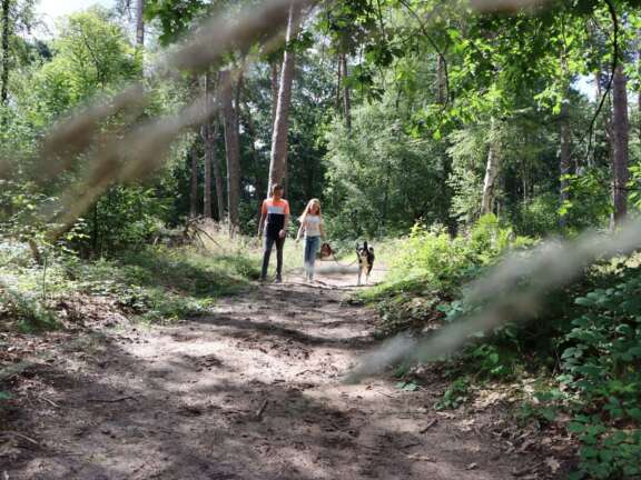 Camping in Ommen Ommerland 6