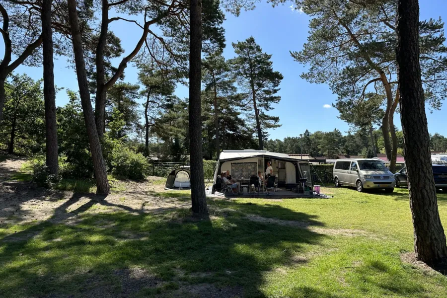 Camping Veluwe kamperen XXL Ekster 90