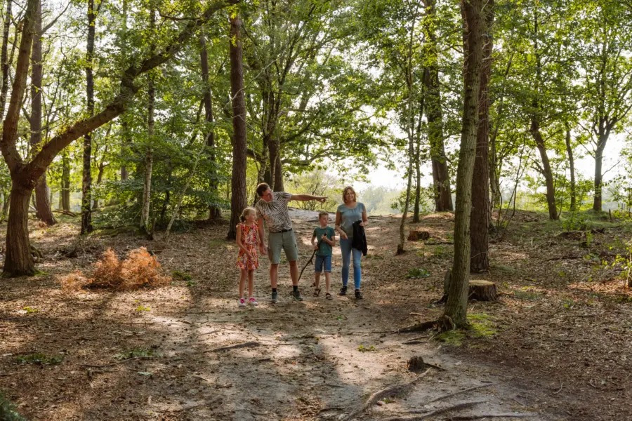 Vakantiepark Ommen Ommerland 46